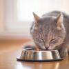 Cat-Dog Food Bowls (Buyontheway)