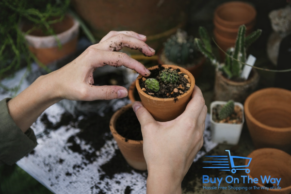 Gardening (Buyontheway)